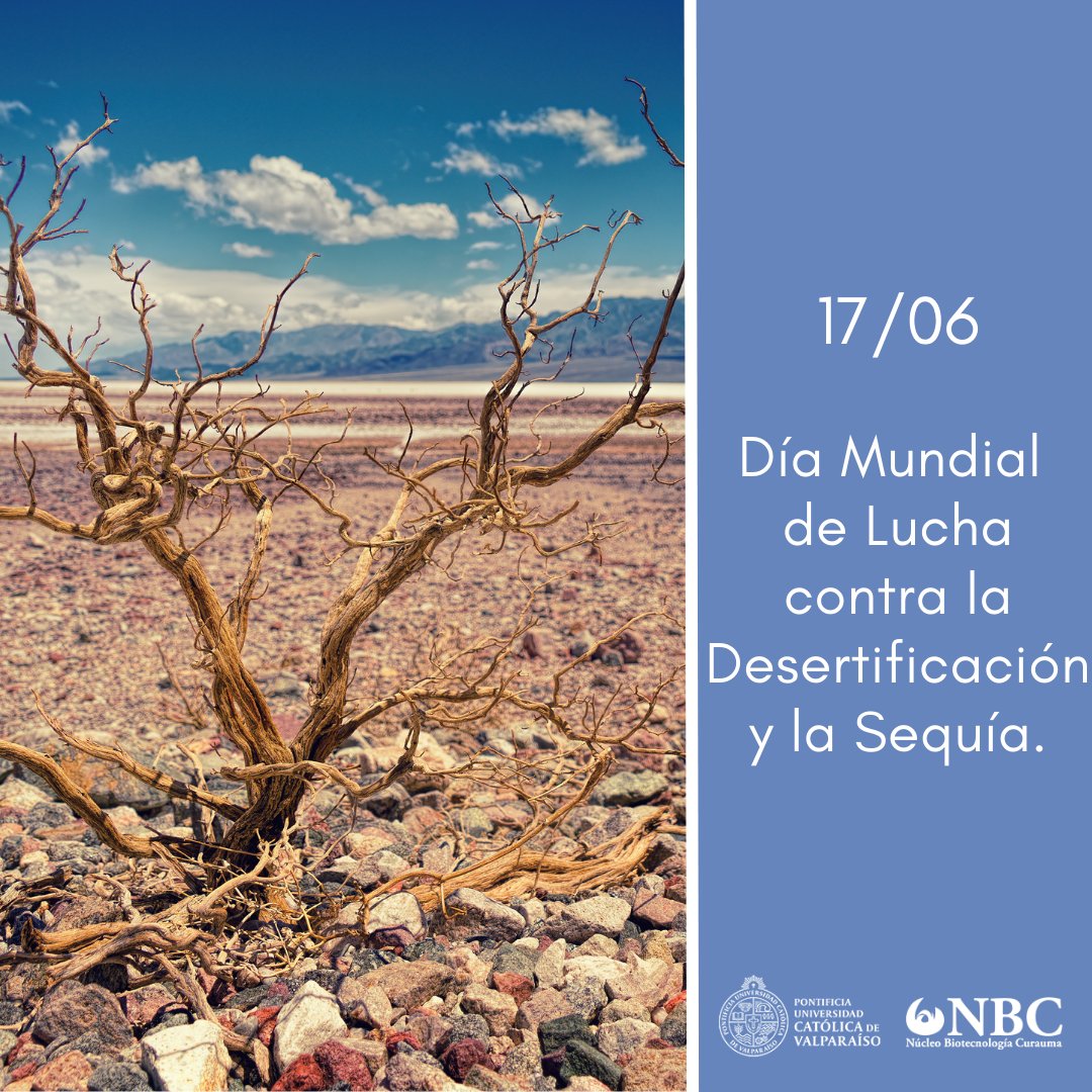 👉🏻Se estableció este día con el fin de concientizar acerca de las iniciativas internacionales para combatir la desertificación y sequía, y así recuperar la biodiversidad, áreas verdes y disminuir el efecto del cambio climático.