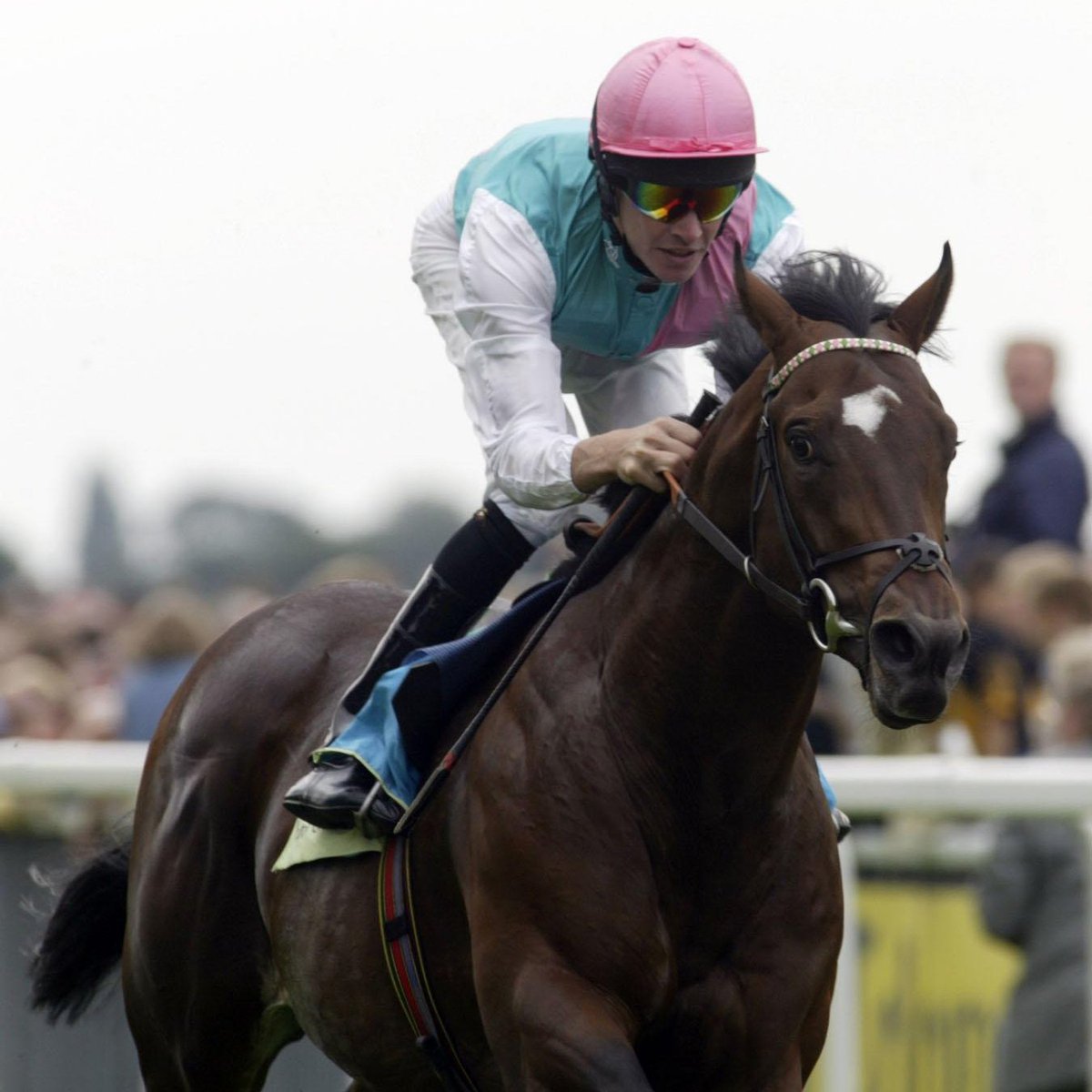 Happy Father's Day 🎉

Who do you think is the greatest sire of all-time? 👇