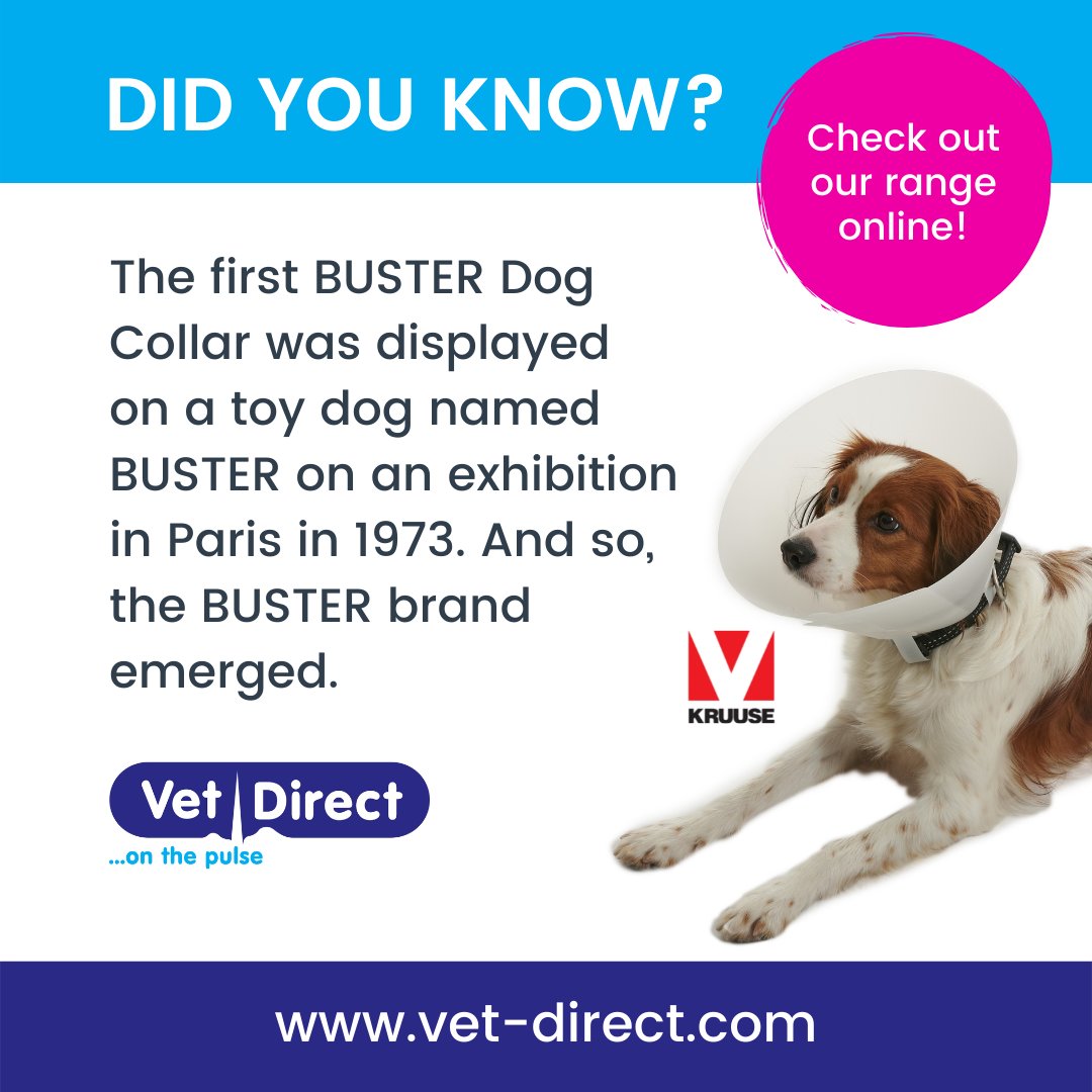 vetdirectuk's tweet photo. Post-op care in the name of BUSTER

Cushioned edge e-collars, original e-collars and inflatable collars.

Check out our range online today - https://t.co/qkDsRX0CW7 https://t.co/B5lGObvEKQ