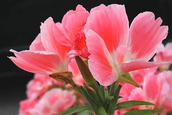 6月18日 Twitter Search Twitter