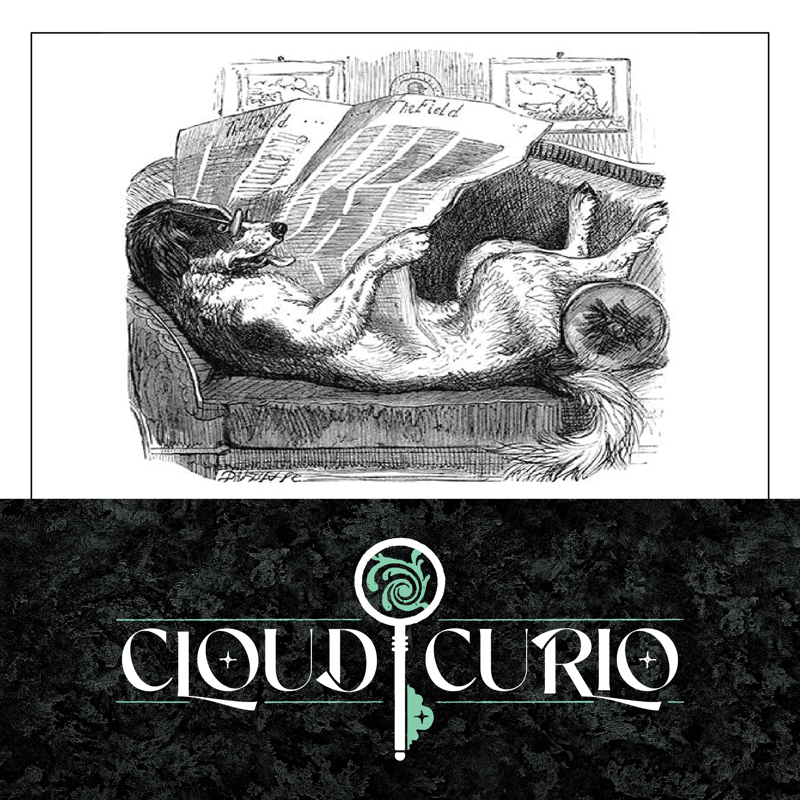 CloudCurioGames's tweet photo. Never miss a release! Sign up for the Cloud Courier, our monthly newsletter that rounds up releases, news, events, and gives you a peek into the month ahead! 

#DnD #TTRPG