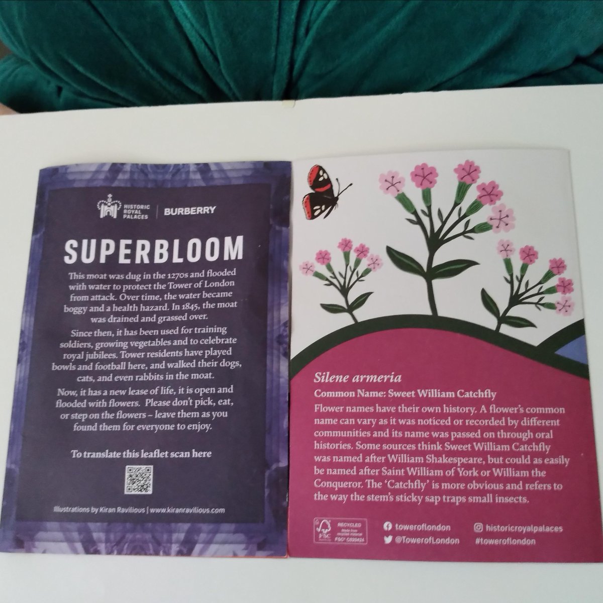 What a glorious day to be alive!

#bonsoiroflondon #toweroflondon #daywear #pyjamas #fashion #fashionphotography #modeling #beauty #stylish #fashionstyle #fashiondesigner #classy #happy #photooftheday #style #look #clothing