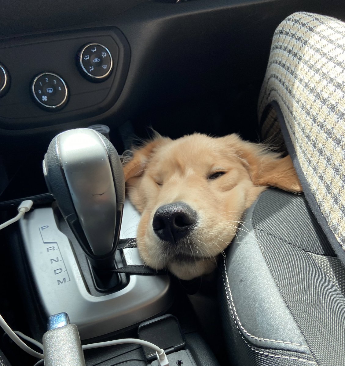 Mood https://t.co/eLjUA9pbDs