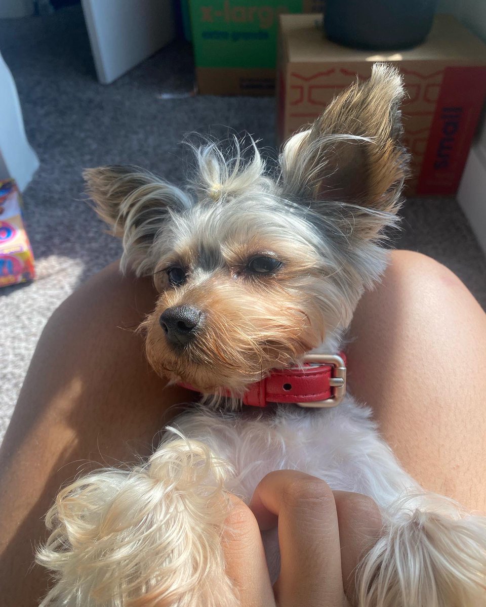 Sun Bathing ☀️ #VitaminD