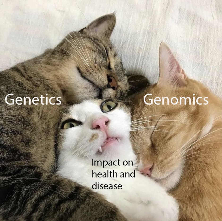 What is the best genomics twitter account and why is it NHGRI 🏆🥲 
