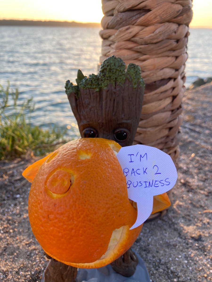 mpl17's tweet photo. Just completed 3 amazing days with 250+ colleagues from 40+ countries on our Back 2 Basics. One element I always look forward to is the 🍊, a teaching tool created by my father to simplify the 🔬 science behind our tech. Here are a few of our colleagues' creations. Your favorite? https://t.co/hAQk3CVUwb