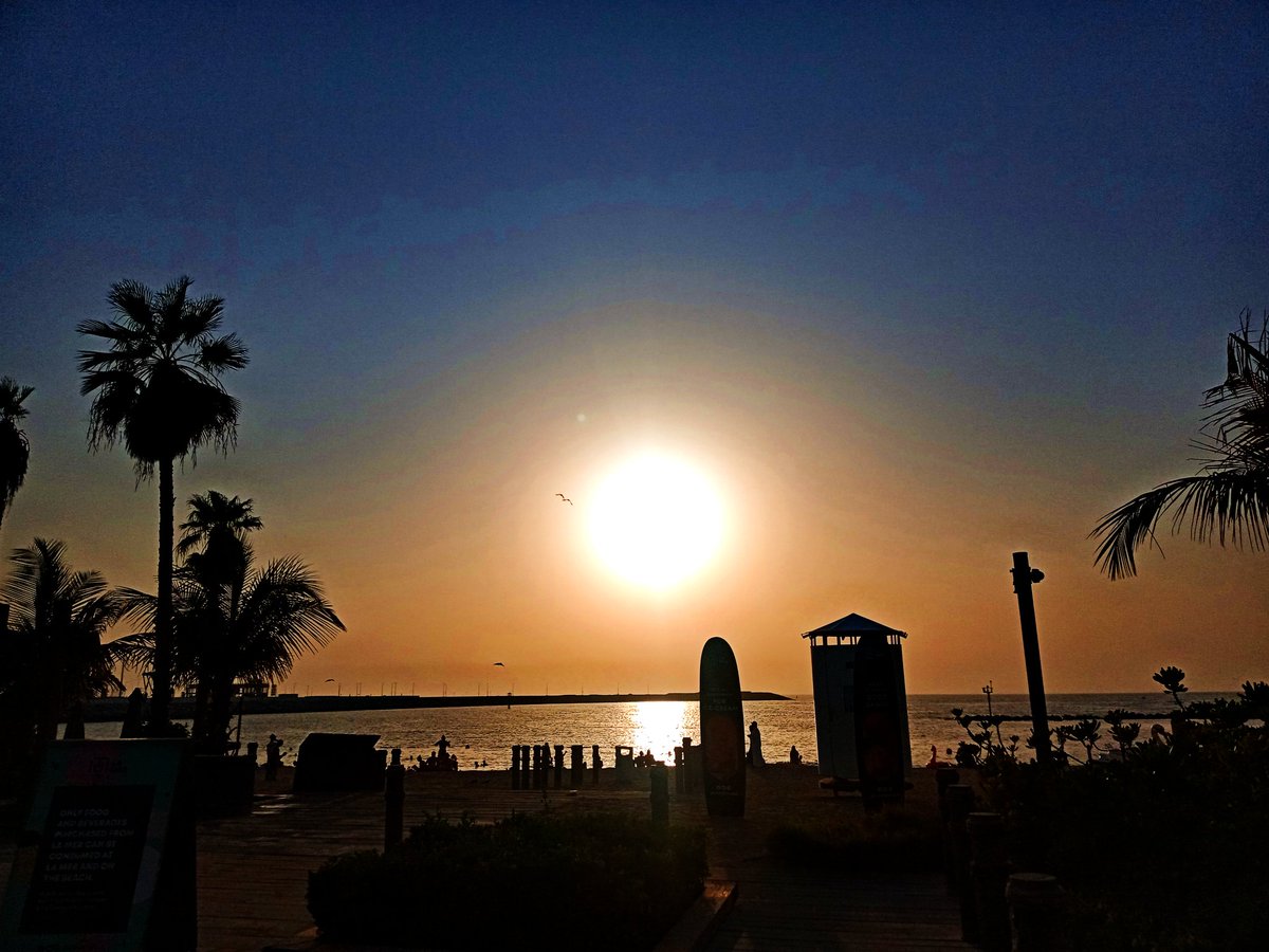 TravelPeponi's tweet photo. Chasing sunsets at La Mer Beach Dubai

Steph Klay FATF #traveling #AgnipathRecruitmentScheme #sunsetsforrowoon #sunset #PhotoOfTheDay
#photography #streetphotography  #nature #beach Sadio #ThankYouImranKhan Amapiano Drake https://t.co/SvuhitpeCs
