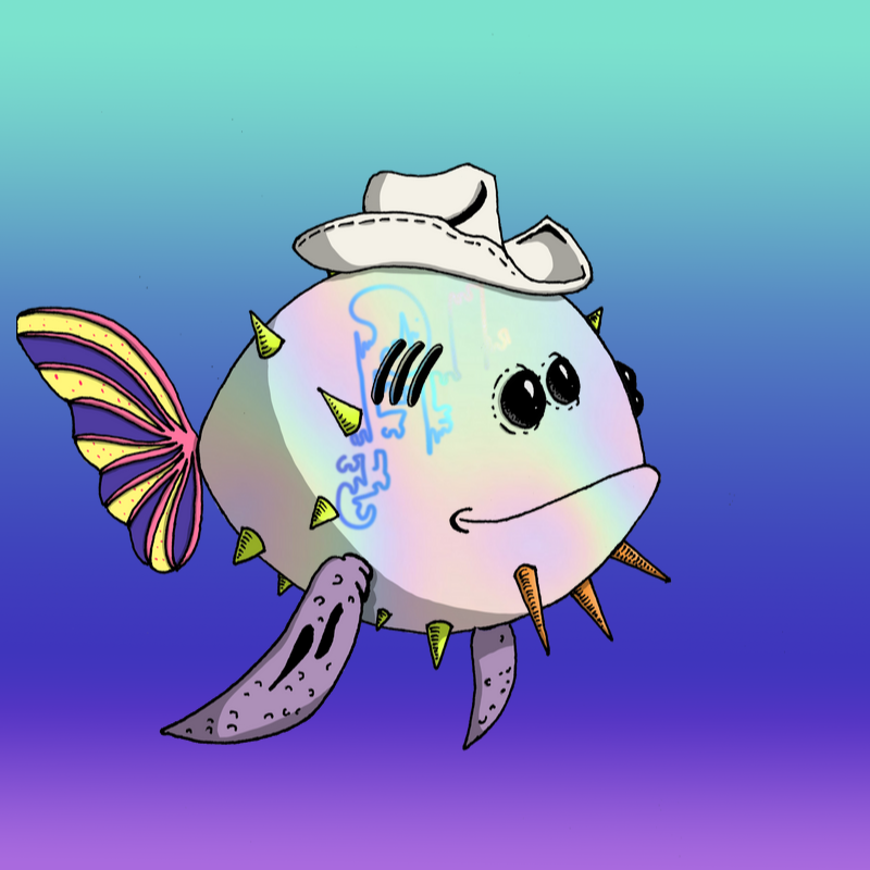 RUDEB🟠Y tweet media