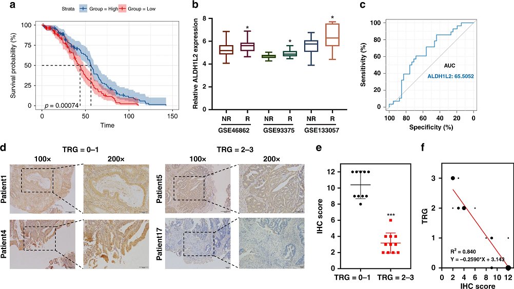 TXN inhibitor impedes radioresistance of colorectal cancer cells with decreased ALDH1L2 expression via TXN/NF-κB signaling pathway #OpenAccess in BJC: nature.com/articles/s4141… @zhang_yaowei