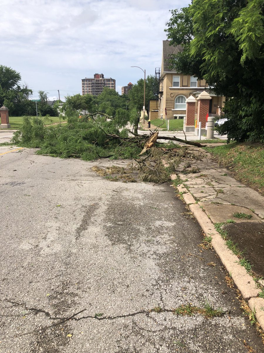 .⁦<a href="/stlcsb/">Citizens' Svc Bureau</a>⁩ 600 N Newstead (at Washington)