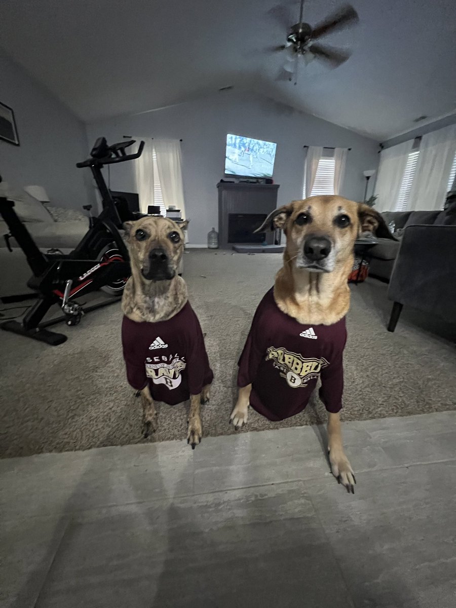 CoachWischJV's tweet photo. GAMEDAY! Let’s get it! https://t.co/hFSJPJao7P