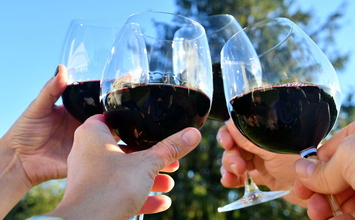 The vast array of wines that we have come from top-quality Georgian and Italian winemakers, and have fantastic flavours for you to enjoy! 😋🎉

Have you tried any of the wines that we have in stock? 🤔

bit.ly/3koKMnn