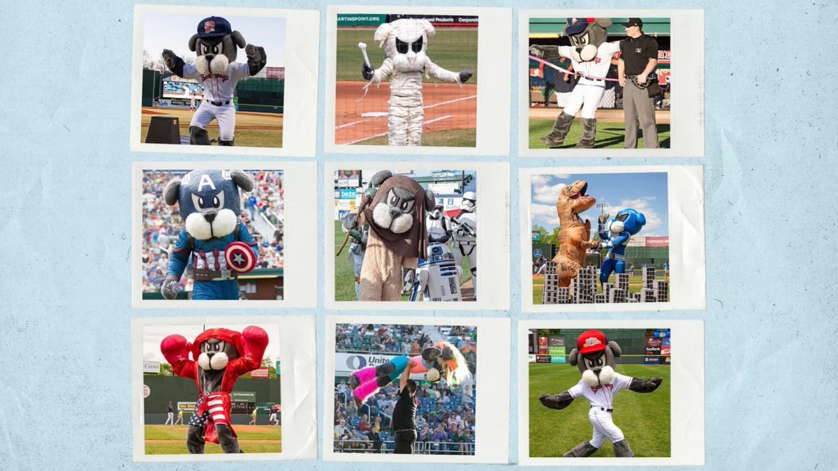 Don’t let the permanent scowl fool you -- Slugger the Sea Dog is one of the most exuberant and boundary-pushing mascots in Minor League Baseball.

<a href="/bensbiz/">Benjamin Hill</a> goes behind the scene: atmilb.com/3mX3d4n