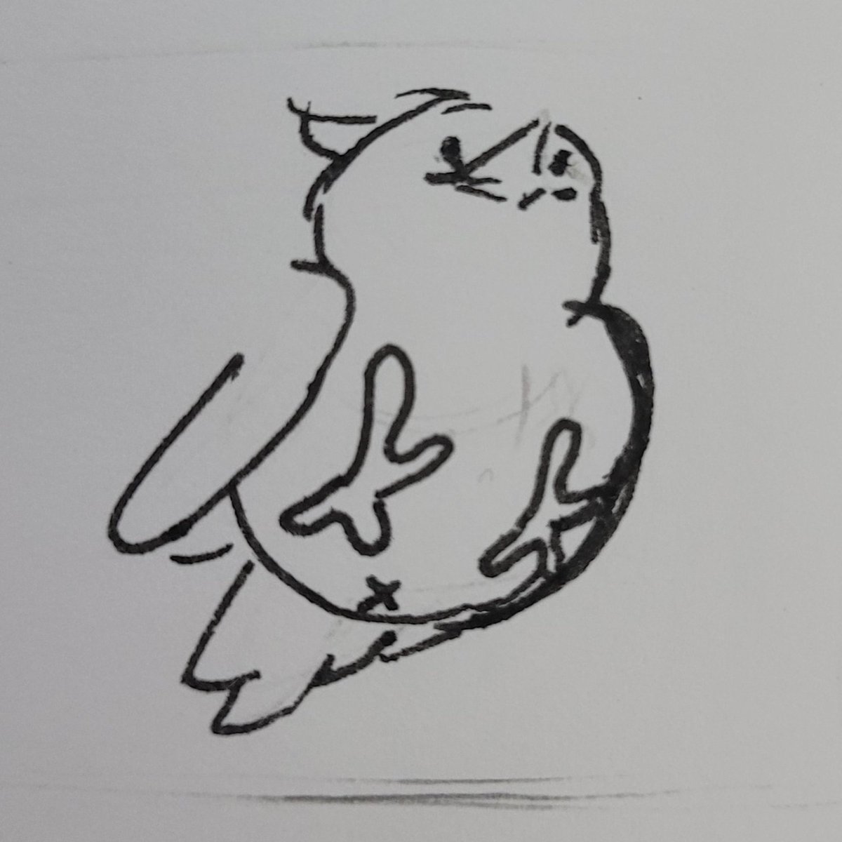 seaeuu's tweet photo. Heh um passarinho amigável q eu encontrei no meio do caderno https://t.co/YpKKB799Vd