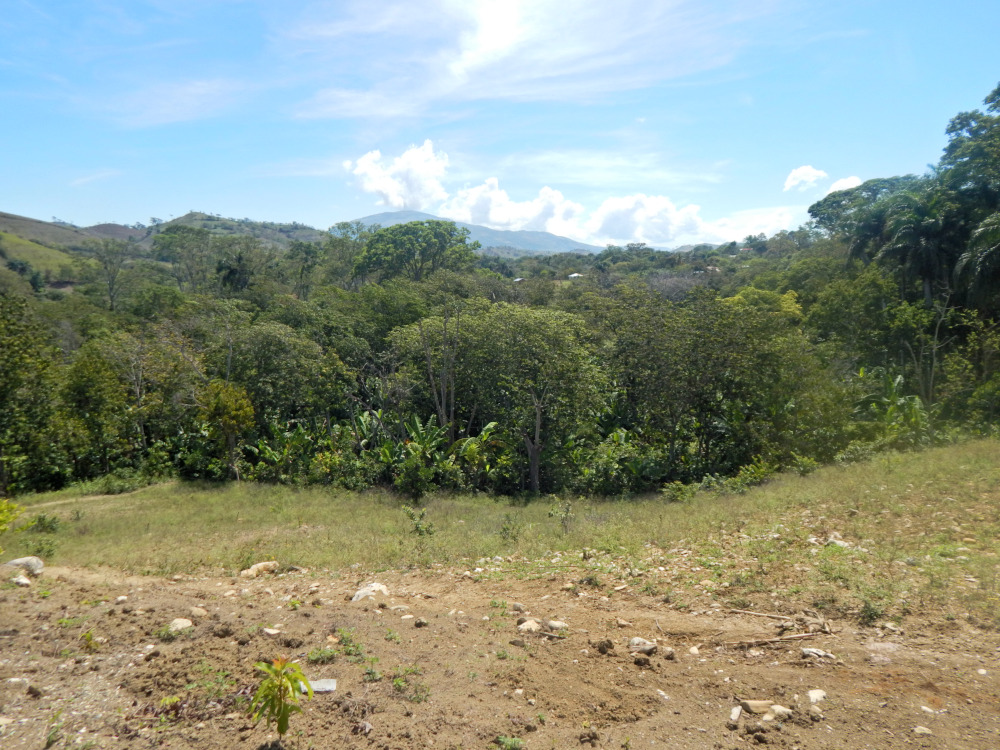 endadominicana's tweet photo. A propósito del día mundial de la lucha contra la desertificación, te recordamos que el cuidado de los suelos es una de las principales medidas que estamos implementando con el proyecto Comunidades Caribeñas Resilientes
#apropositode
#proyectoCCR
#NoDroughtland
#UNited4Land https://t.co/13fQ5InDHQ