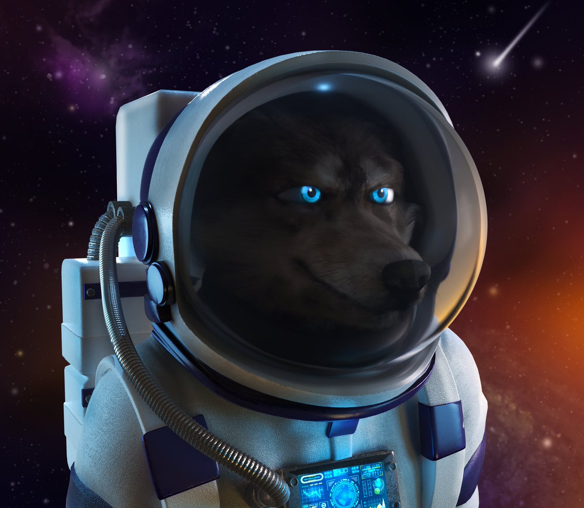 The Wolves Of Meta Street tweet media