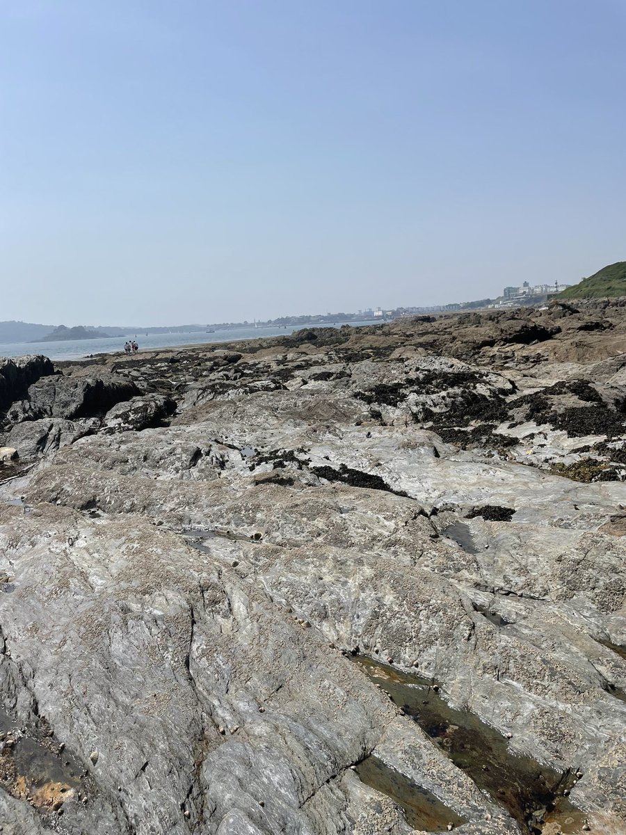 MardleMegan's tweet photo. Not just a @dassh day of data for me! I got the chance to head down to the shore to BioBlitz ๐ฆ @thembauk #DTOLBioBlitz #MBABioBlitz https://t.co/zy8n1ZPvwW