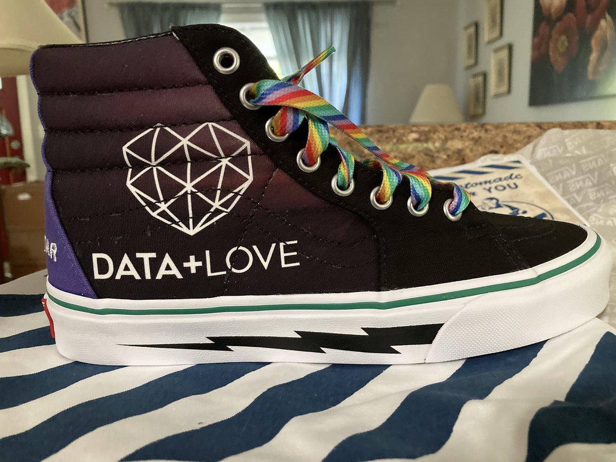 GinnyMoench's tweet photo. My #DataPlusLove custom Vans were worth the wait!!! Thanks for sharing the design @ZachBowders 😁 https://t.co/UEpyngPBqf