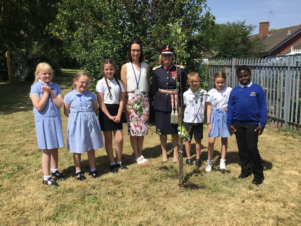 Cotmanhay Juniors tweet media