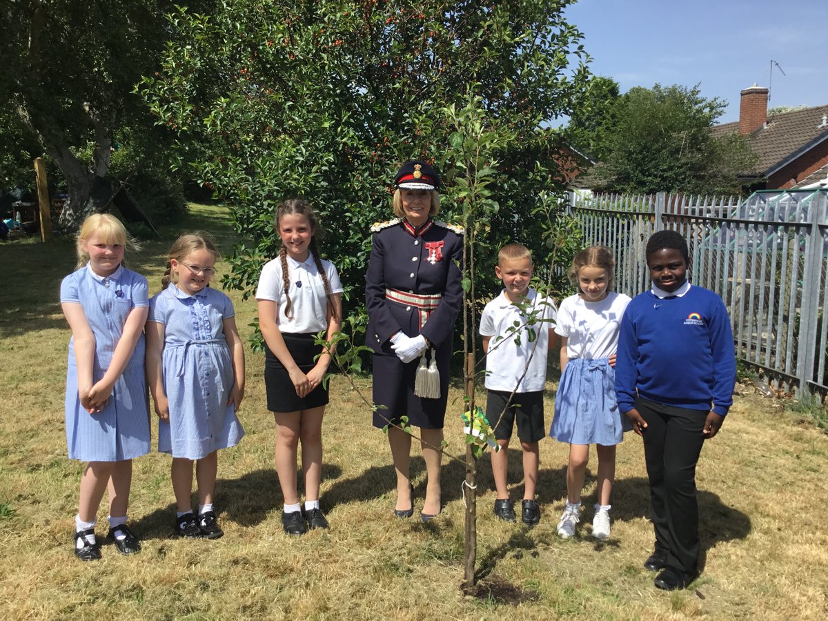 Cotmanhay Juniors tweet media