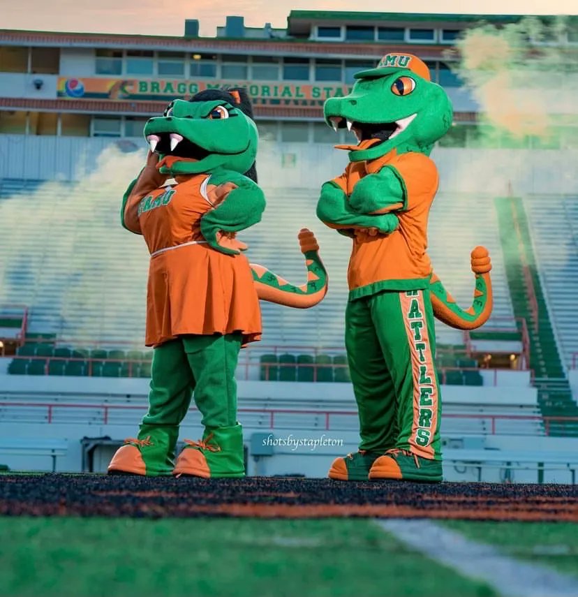 FAMU_1887's tweet photo. It's #FAMUFriday🐍💚🧡 and it's #NationalMascotDay! There isn't a mascot more hype and ready to represent their institution than Lady Venom and Venom! We are celebrating them all day! Drop the 🐍 below if you agree! 

📸: @shotsbystapleton https://t.co/8ly8e1afdP