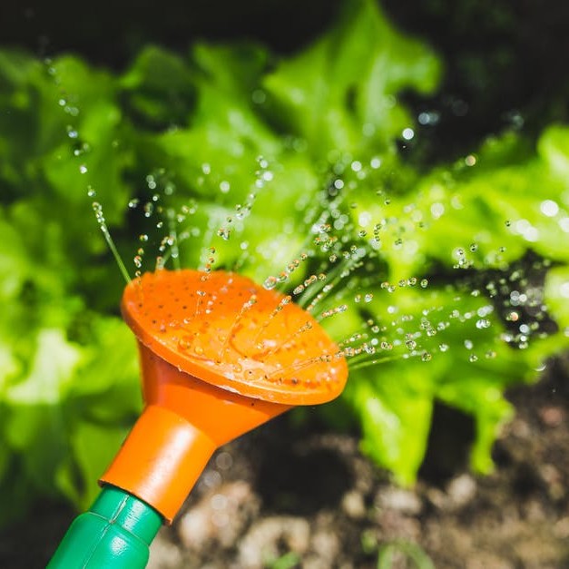 We love seeing all the smiling faces while eating a #salad!!! The #gardens look amazing and all the hard work is paying off! Keep sharing and keep eating your greens! 🥗 💚 @ocsbEco @GUOottawa @CanadianOrganic