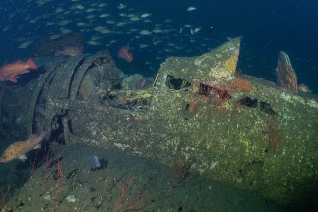 Great find, write up, and #3DModel of an F8F-1 Bearcat (Point Loma, CA — 230 fsw) from <a href="/ExplorersClub/">The Explorers Club</a> member Brett Eldridge #aviationarchaeology  buff.ly/3N1WNLG