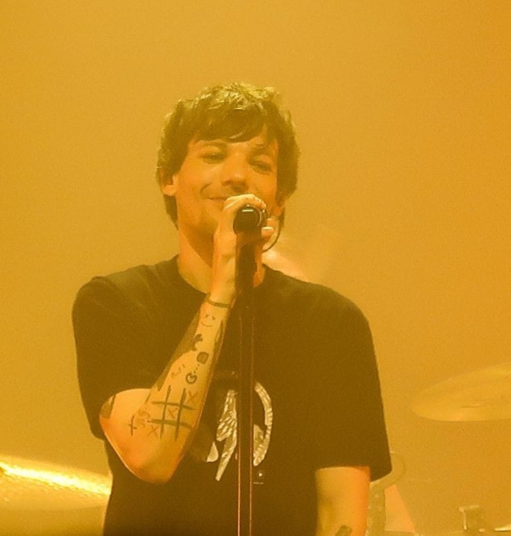 louistaslyrics's tweet photo. ❤️‍🩹 https://t.co/U3zXFtpLE7