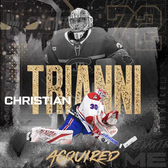 MenaceOJHL's tweet photo. 🚨ACQUIRED🚨

The Menace have acquired 2002-born goaltender Christian Trianni from the Toronto Jr. Canadiens! https://t.co/ukiTeADe3m