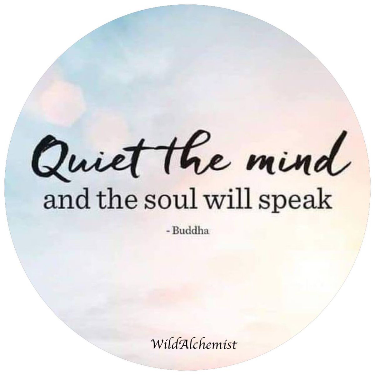 gailsummer's tweet image. 