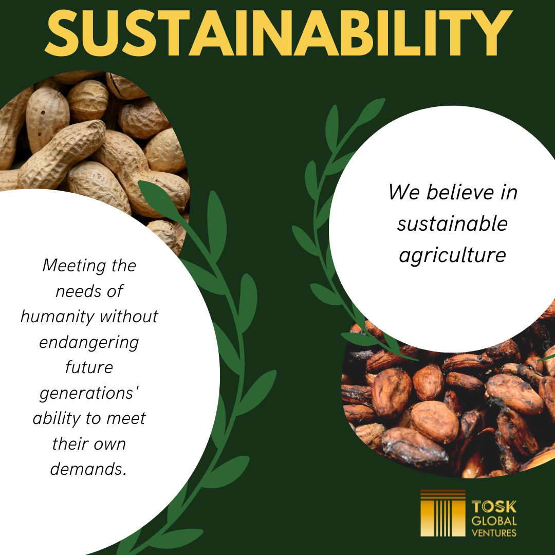 ToskGlobal's tweet photo. Sustainability is knowing that we did all our best to preserve the earth's resources for our fresh produce.

#sustainability #agriculture #enviroment #foodsupply #protectingnature #sustainableagriculture https://t.co/iY5QPQMwd0