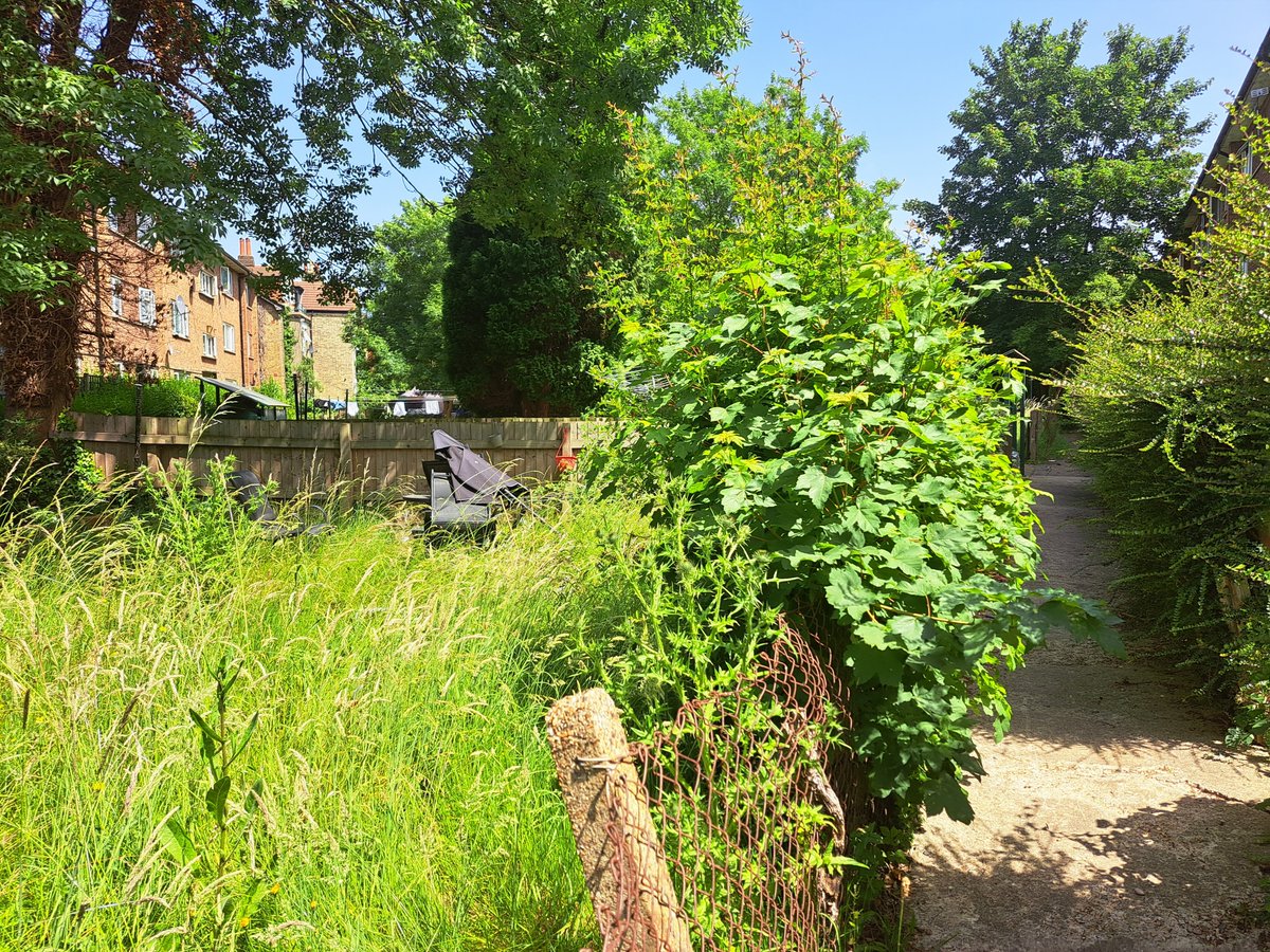 Ethosheia Hylton tweet media