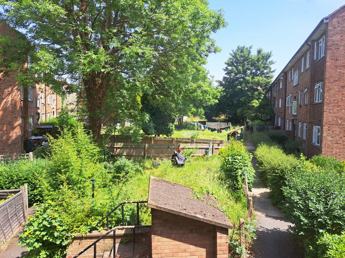 Ethosheia Hylton tweet media