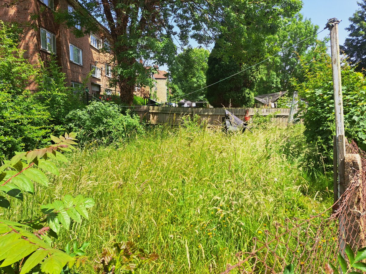 Ethosheia Hylton tweet media