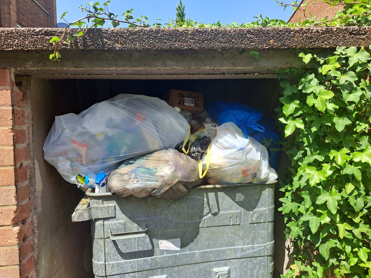 Ethosheia Hylton tweet media