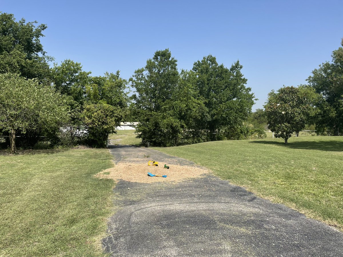 haundicapped's tweet photo. @OutKickTNML #TNML #FMML Sunny skies this morning. Midlothian, TX. Thanks to St. Arny Lawnmower and the trusty Gravely. For making the yard a sinch. Got a Fire Ant Funeral in the side saddle to help me tackle the back 40 next. https://t.co/6bEecFtATT