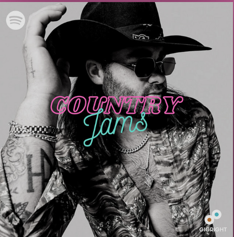 Rock Ridge Music tweet media