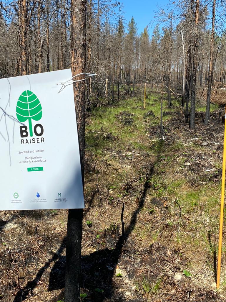 BioRaiser's extinguishing and remediation experiments at the Rautio burn area have had clearly positive effects on the regrowth of previously destroyed plant life. The product is added to extinguishing water and deployed in this fashion during firefighting. #forestfire #bioraiser