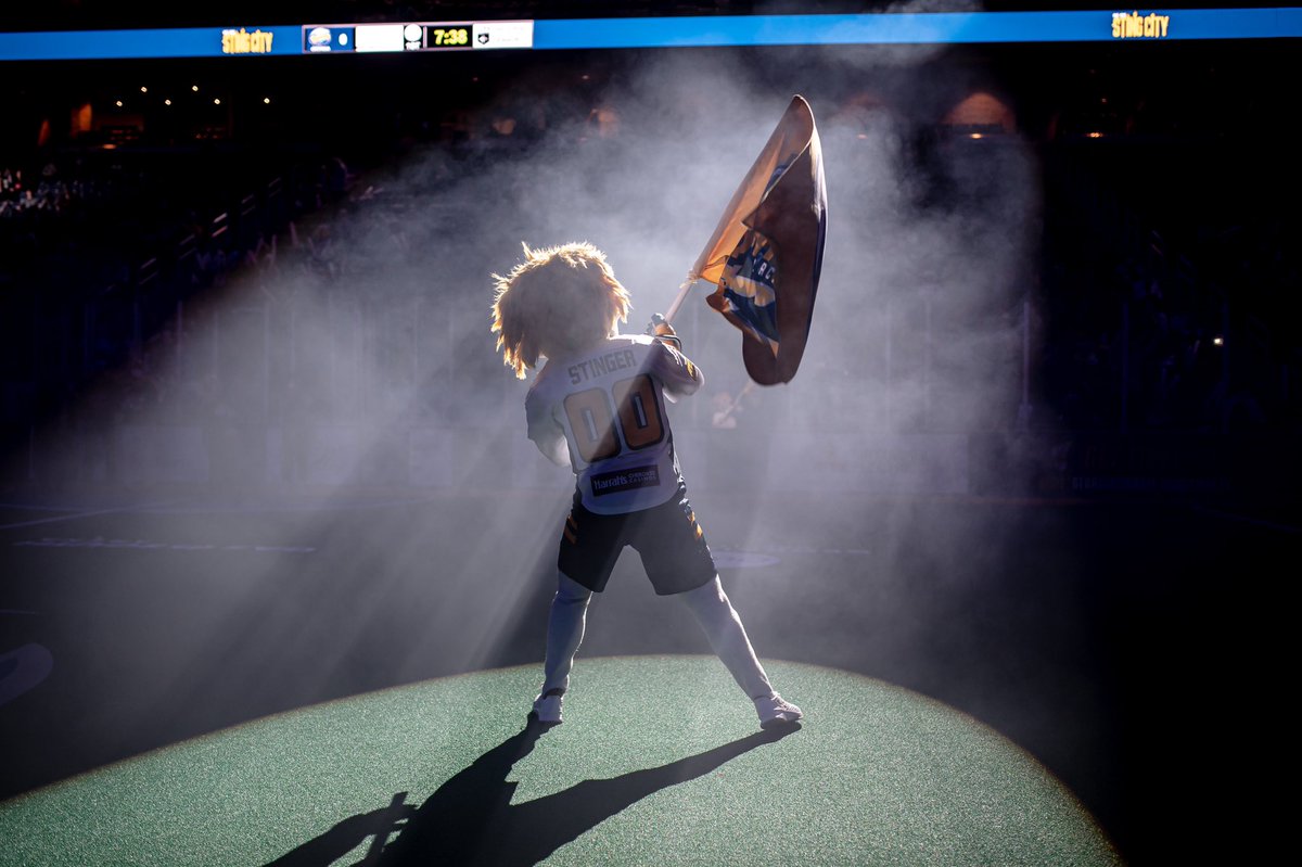 Georgia Swarm Professional Lacrosse tweet media