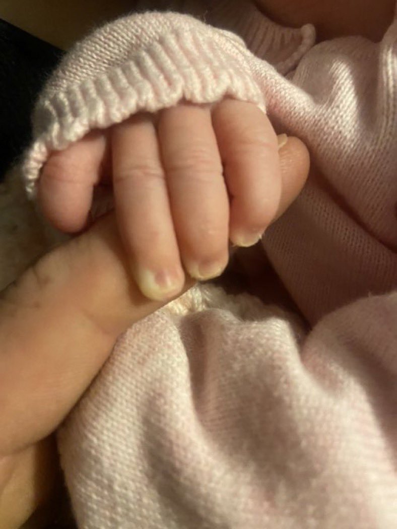 Gray ward 🖼 tweet media