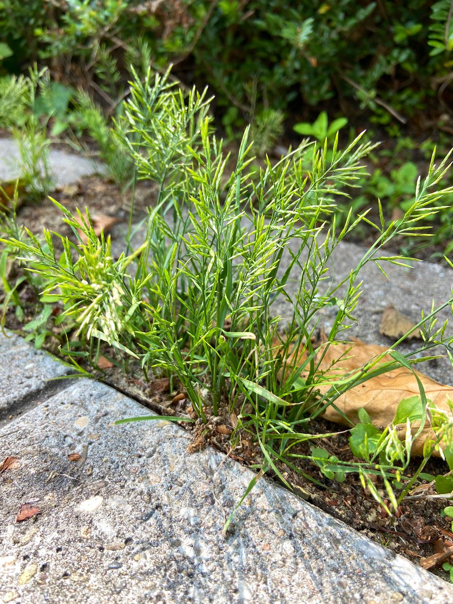 Reinier Gillissen tweet media