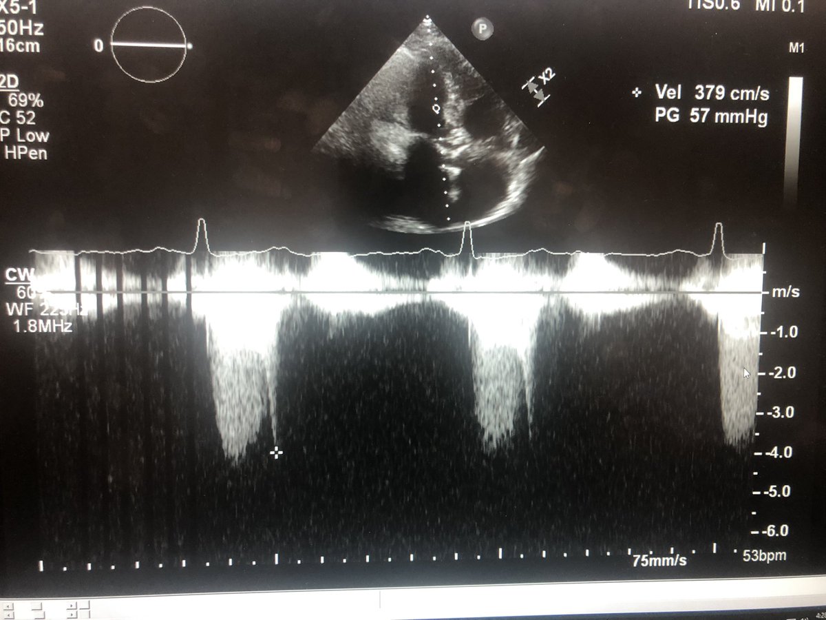 Musa A. Sharkawi tweet media