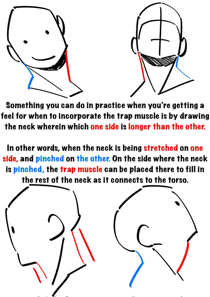 Notes for drawing the neck. 😊