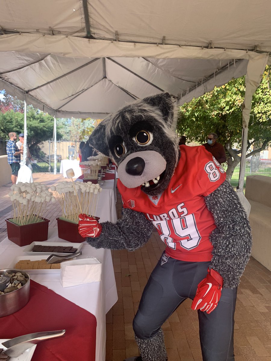 UNMLoboSpirit's tweet photo. Happy #NationalMascotDay to Louie &amp; Lucy! We are lucky to have the best out there! #GoLobos https://t.co/4XKwne08bM