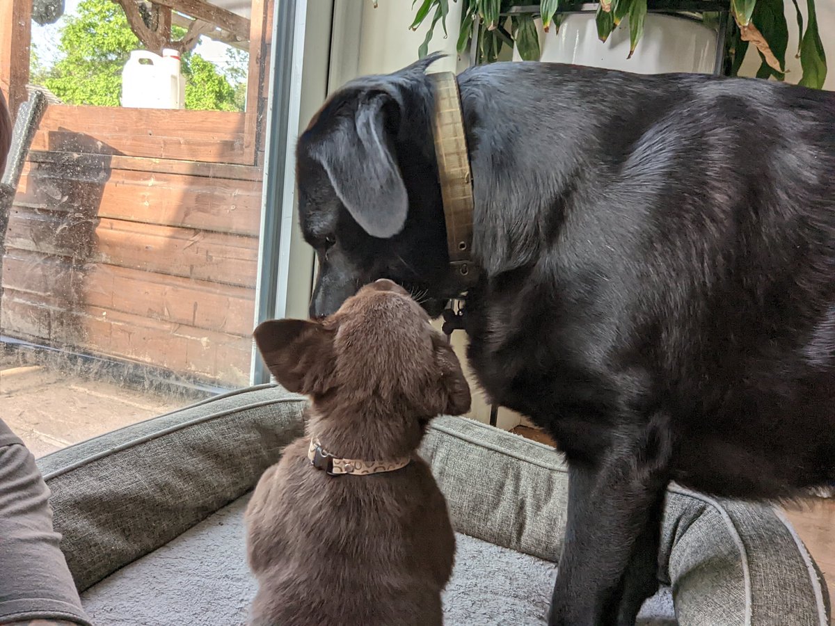 Olives or Oliff tweet media