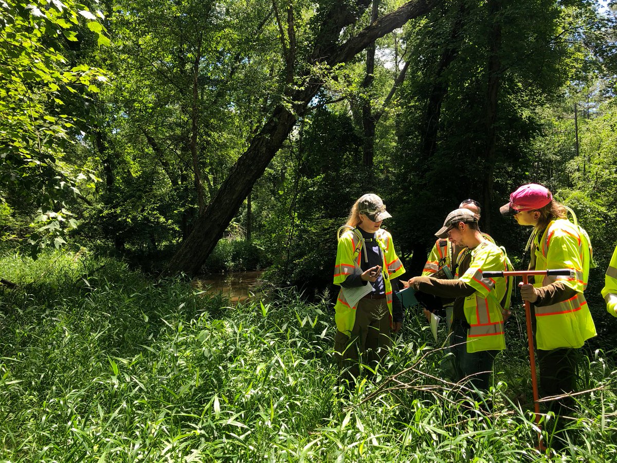 WetlandStudies's tweet photo. Our Maryland interns recently finished up an exciting two days learning all the ins and outs of wetland delineation! Training went from the classroom to the field - getting hands-on experience finding wetland boundaries. 
#internship #WSSIinterns #WSSIcareers #trainingthefuture https://t.co/QMR9MOrxUI