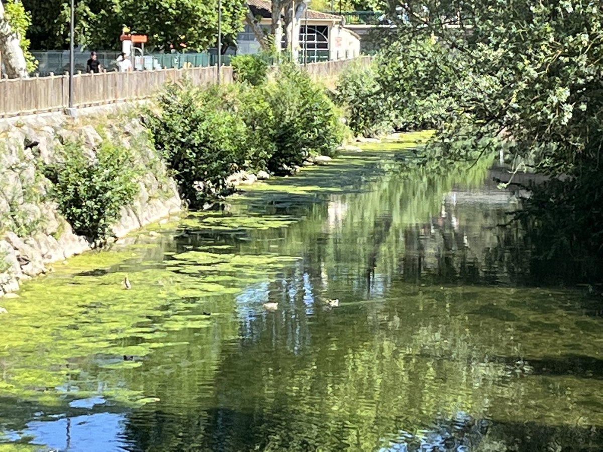 CAMPANA JFP tweet media