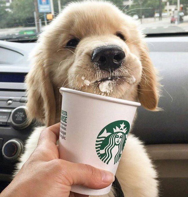dinogodwhale's tweet photo. Yummy 😋 https://t.co/tspkBKwcIE