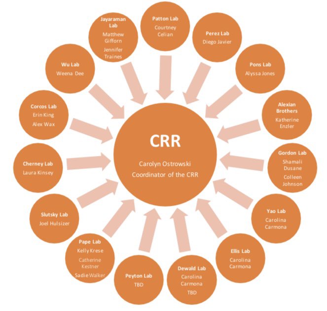 MonicaPerezPhD's tweet photo. 📢 Upcoming Clinical Research Registry Webinars! @AbilityLab @NUPTHMS @NorthwesternPMR working together to facilitate research efforts @jenkneuropt @HeidiRothPT @tsmoulton @lieber_rick #CarolynOstrowski #JulesDewald! https://t.co/J0ZzLaG7o3