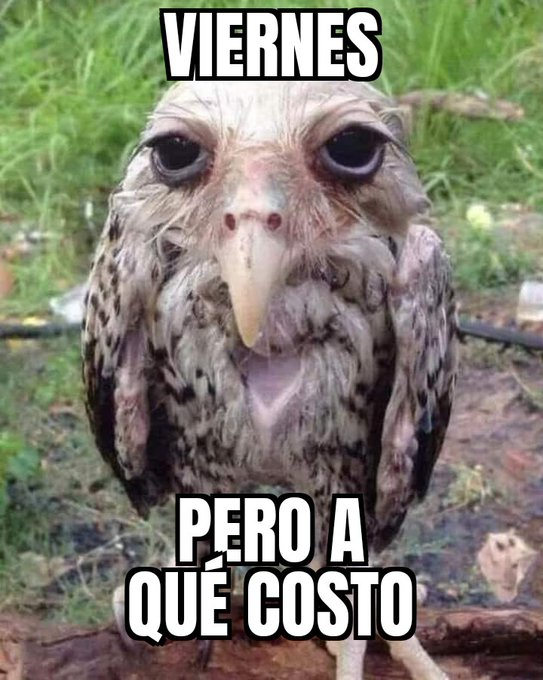 Show4yuO's tweet photo. Eso mismo me pregunto: https://t.co/U8UUw3Z9YG